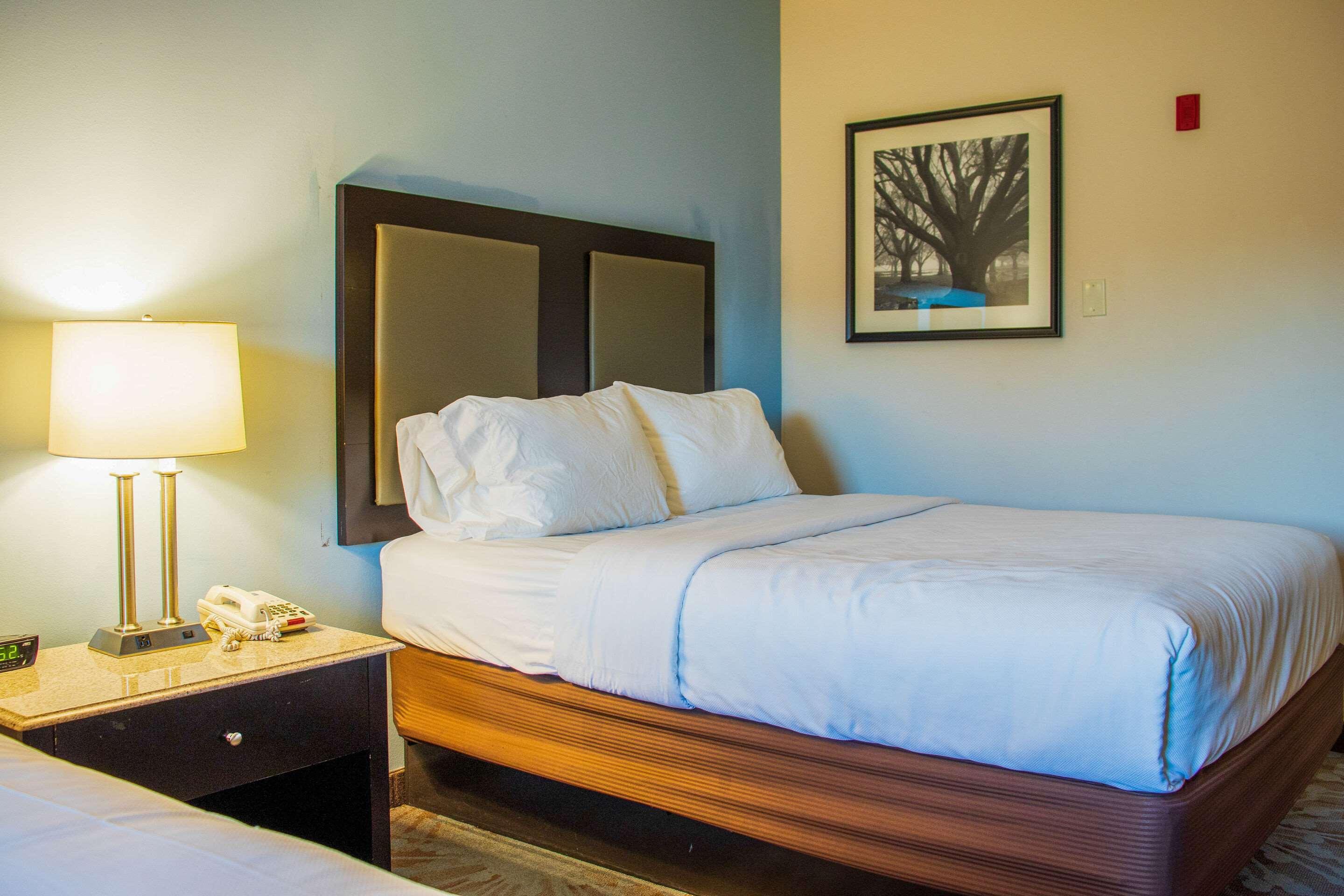 Comfort Inn & Suites Plainville-Foxboro Extérieur photo